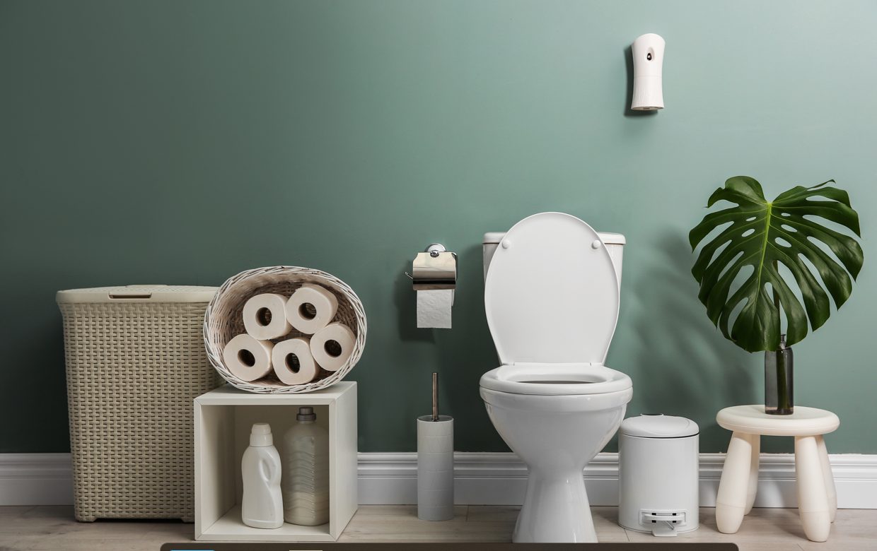 Energy Efficient Toilets Orange County